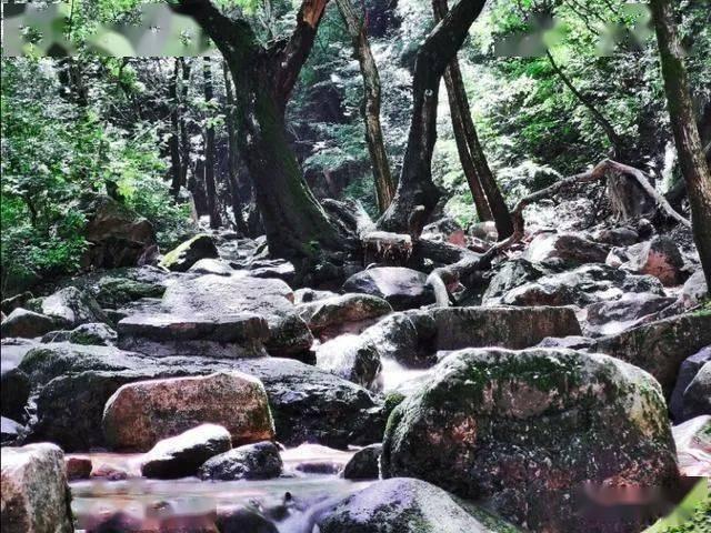 召唤神龙万宁版祖龙